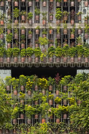 Flying Vegetation