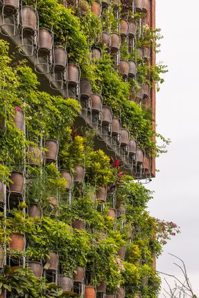 Flying Vegetation