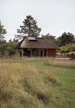 Shoreline Studio