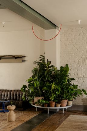 P81 House