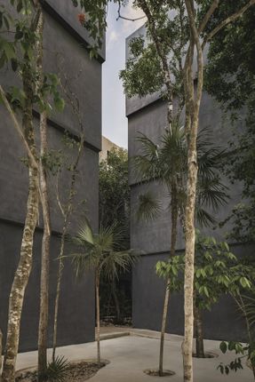 Casa Selva - Housing For Hospitality Workers