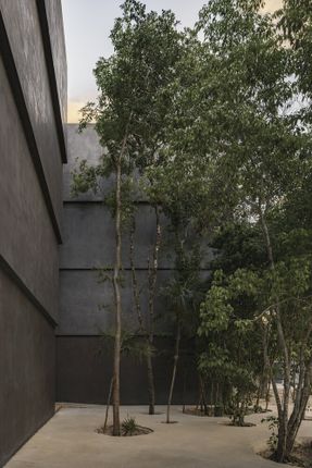 Casa Selva - Housing For Hospitality Workers