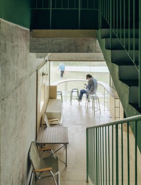 Ancient Banyan Plaza Renovation