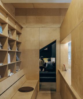 Ancient Banyan Plaza Renovation