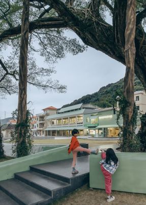 Ancient Banyan Plaza Renovation