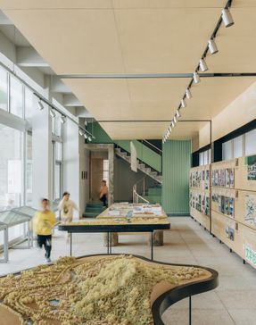 Ancient Banyan Plaza Renovation