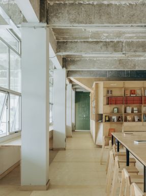 Ancient Banyan Plaza Renovation