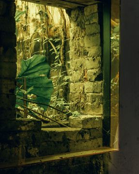Old Study In Solitude