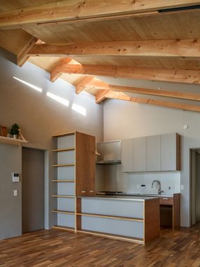House With A Slit Roof