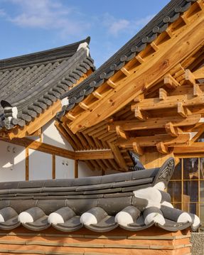 House For Rejuvenation