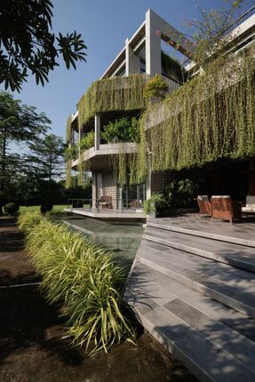 Ara Manor