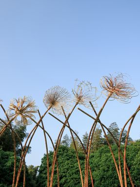 Bent By Spring