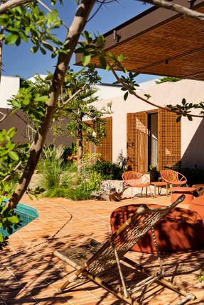 Avocado Tree House