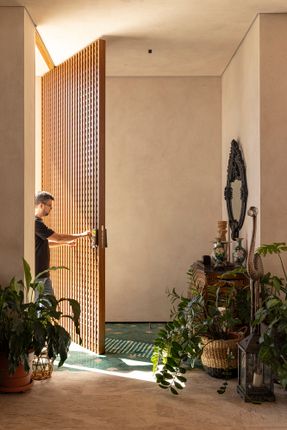 Avocado Tree House