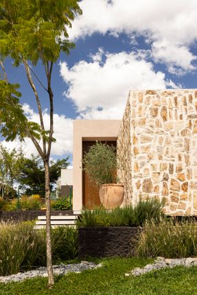 Avocado Tree House