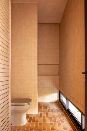 Avocado Tree House