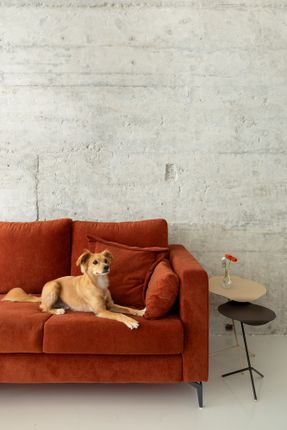 Copan Apartment A