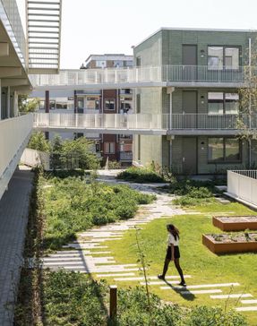 Steenzicht Social Housing