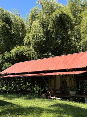 Yoga Bonito