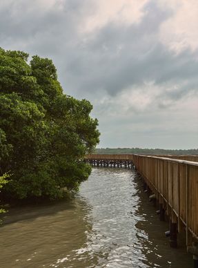 Ecopark Ciénaga De Mallorquín