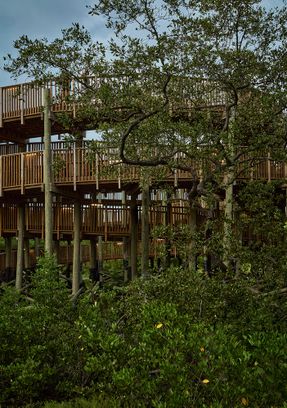 Ecopark Ciénaga De Mallorquín