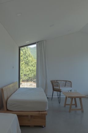 Immersive Landscape