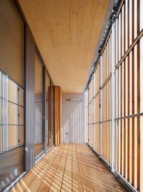Zdar Wooden Housing