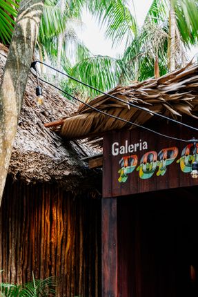 Popopô Gallery