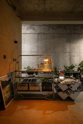 The Terrace House