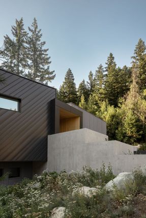 Passive House Forest Retreat