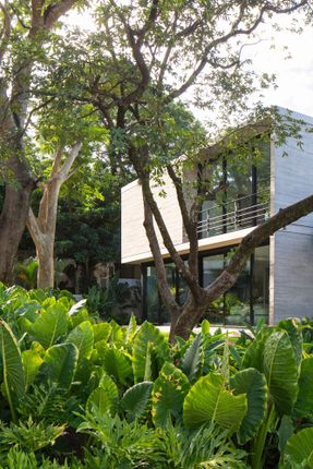 Refugio House