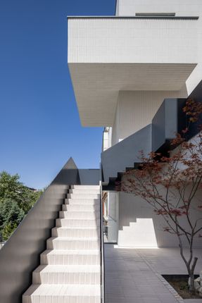 Frenzy Stair