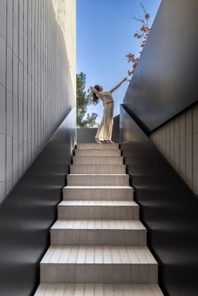Frenzy Stair