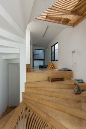 Loli House