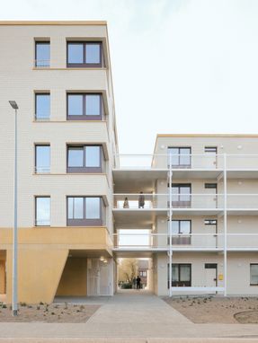 Platte-Lostraat Collective Housing