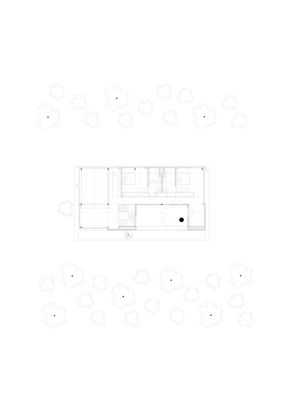 Eucalyptus House
