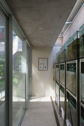 Eucalyptus House