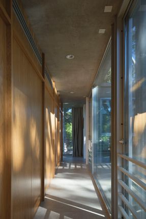 Eucalyptus House