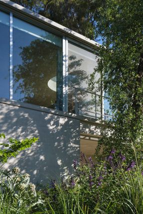 Eucalyptus House