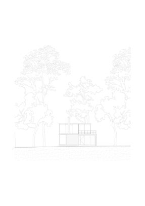 Eucalyptus House