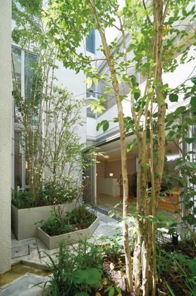 Obstetrics In Nanakuma
