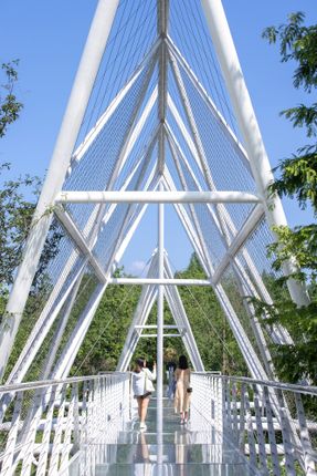 Edenland Pedestrian Bridge In Luxelakes