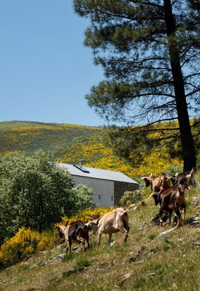 TerraSense Mountain Refuge