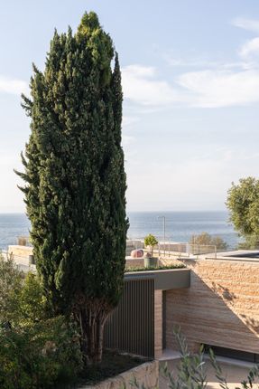 Villa EF