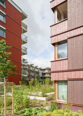 Ute-strittmatter-strasse — Collective Living In Freiham