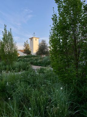 Robert Mondavi Winery Transformation