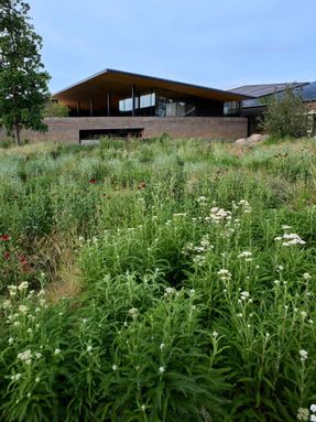 Robert Mondavi Winery Transformation