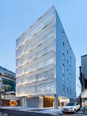 Metal Curtain Building