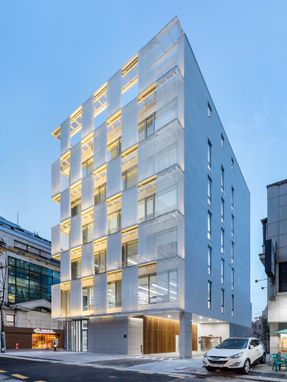 Metal Curtain Building