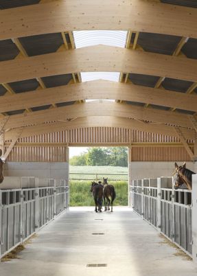 Stable